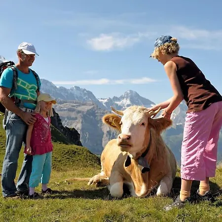 Alpesi faház Heimat Grindelwald