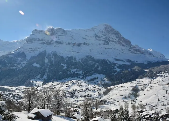 Heimat Alpehytte Grindelwald