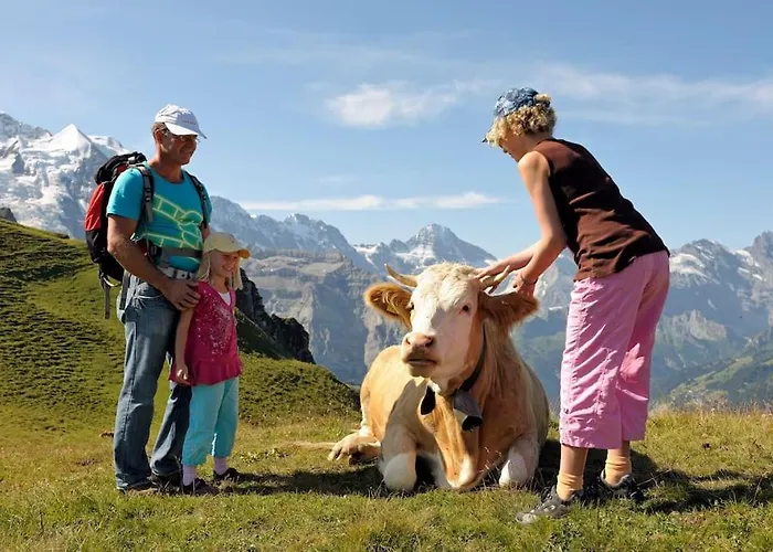 Chalet Heimat Grindelwald