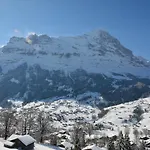 Σαλέ Heimat Γκρίντελβαλντ